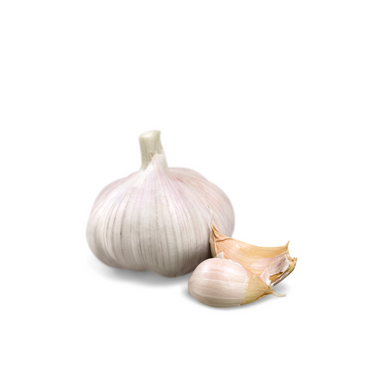 Garlic (Spanish)